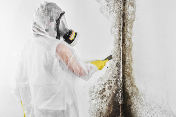 Best Crawl Space Mold Removal  in Bandon, OR