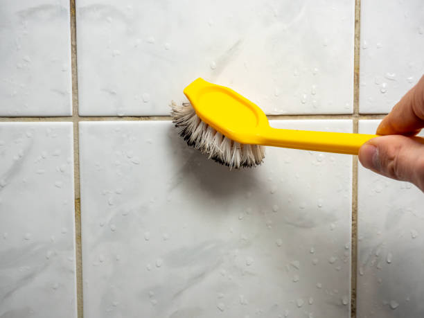 Mold Removal and Inspection in Bandon, OR