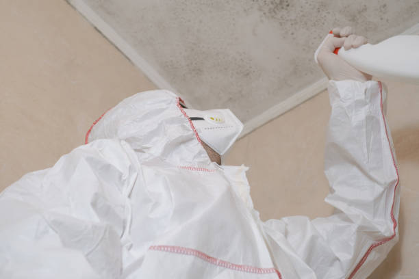 Best Mold Damage Repair  in Bandon, OR